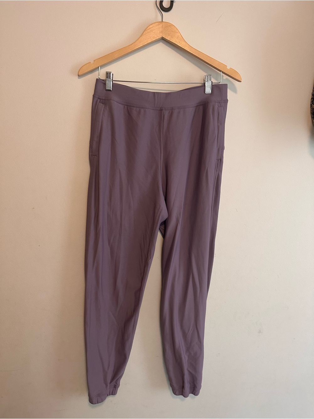 Lululemon Adapted State High Rise Jogger Size 8 Nightfall Purple Zip Cuff